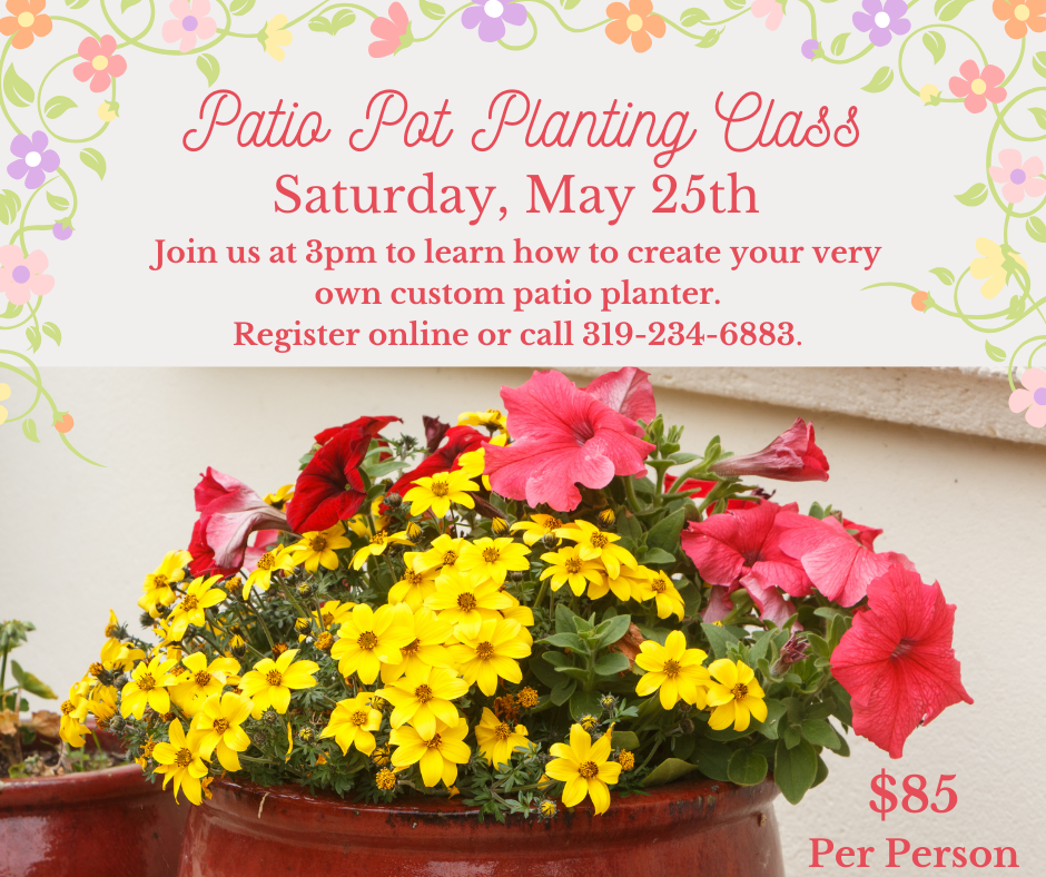 Patio Pot Planting Class
