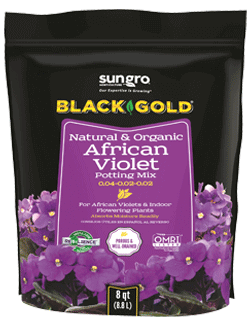 Black Gold African Violet Soil