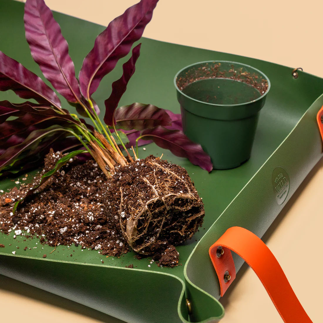 We the Wild Potting Mat – PETERSEN & TIETZ FLORISTS & GREENHOUSES, Waterloo IA