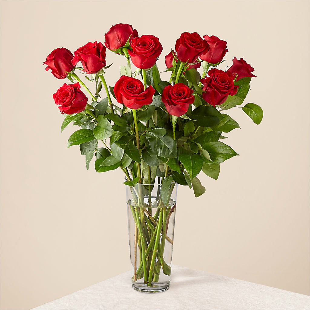 Long Stem Red Rose Bouquet – PETERSEN & TIETZ FLORISTS & GREENHOUSES, Waterloo IA