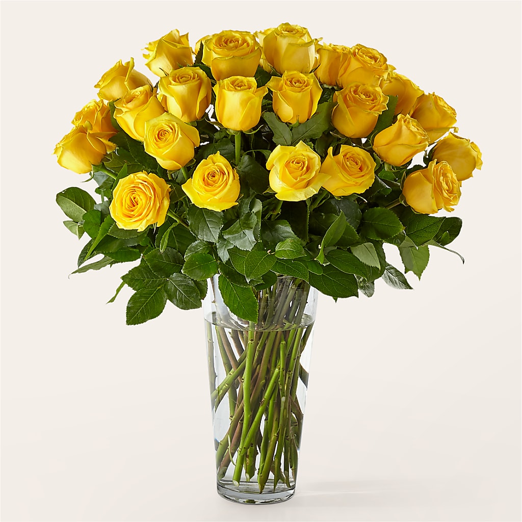 Long Stem Yellow Rose Bouquet – PETERSEN & TIETZ FLORISTS & GREENHOUSES, Waterloo IA