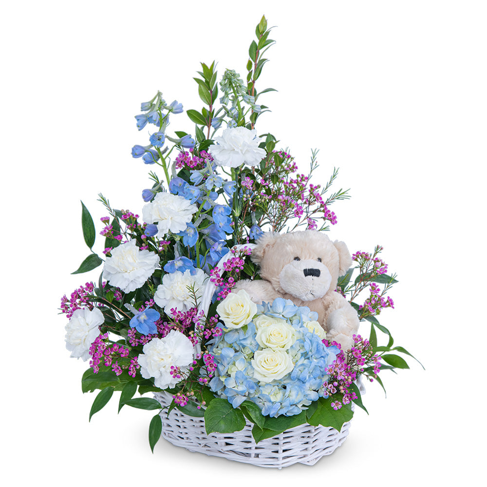 Beary Lovable – PETERSEN & TIETZ FLORISTS & GREENHOUSES, Waterloo IA