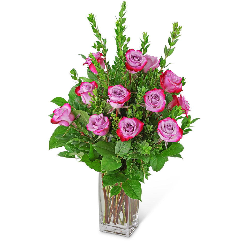 Vibrant Lavender Roses (12) – PETERSEN & TIETZ FLORISTS & GREENHOUSES, Waterloo IA