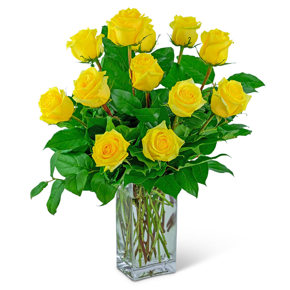 Yellow Roses (12) – PETERSEN & TIETZ FLORISTS & GREENHOUSES, Waterloo IA