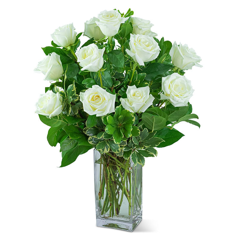 White Roses (12) – PETERSEN & TIETZ FLORISTS & GREENHOUSES, Waterloo IA