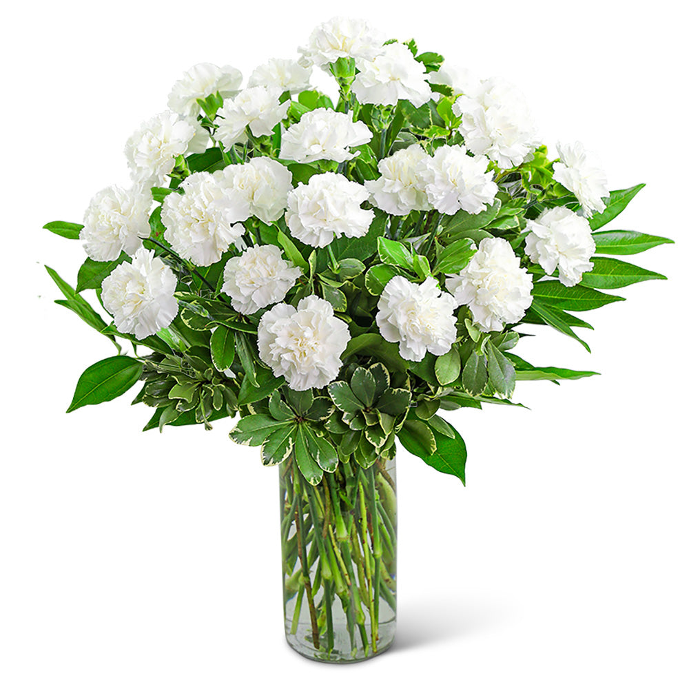 White Carnations Vase – PETERSEN & TIETZ FLORISTS & GREENHOUSES, Waterloo IA