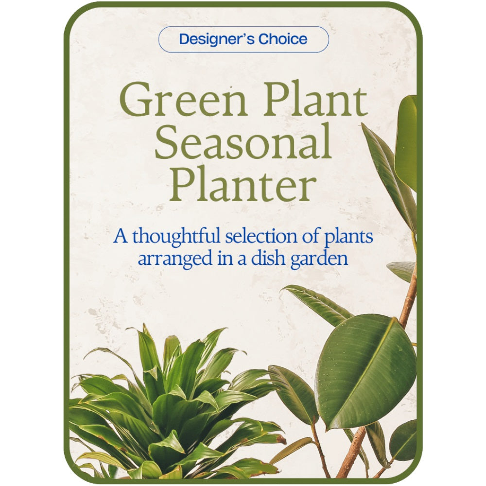 Designer's Choice - Variety of Green Plants – PETERSEN & TIETZ FLORISTS & GREENHOUSES, Waterloo IA
