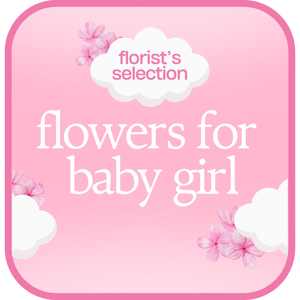 Designer's Choice Baby Girl – PETERSEN & TIETZ FLORISTS & GREENHOUSES, Waterloo IA