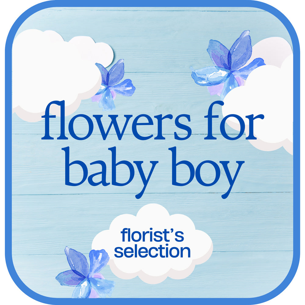 Designer's Choice Baby Boy – PETERSEN & TIETZ FLORISTS & GREENHOUSES, Waterloo IA