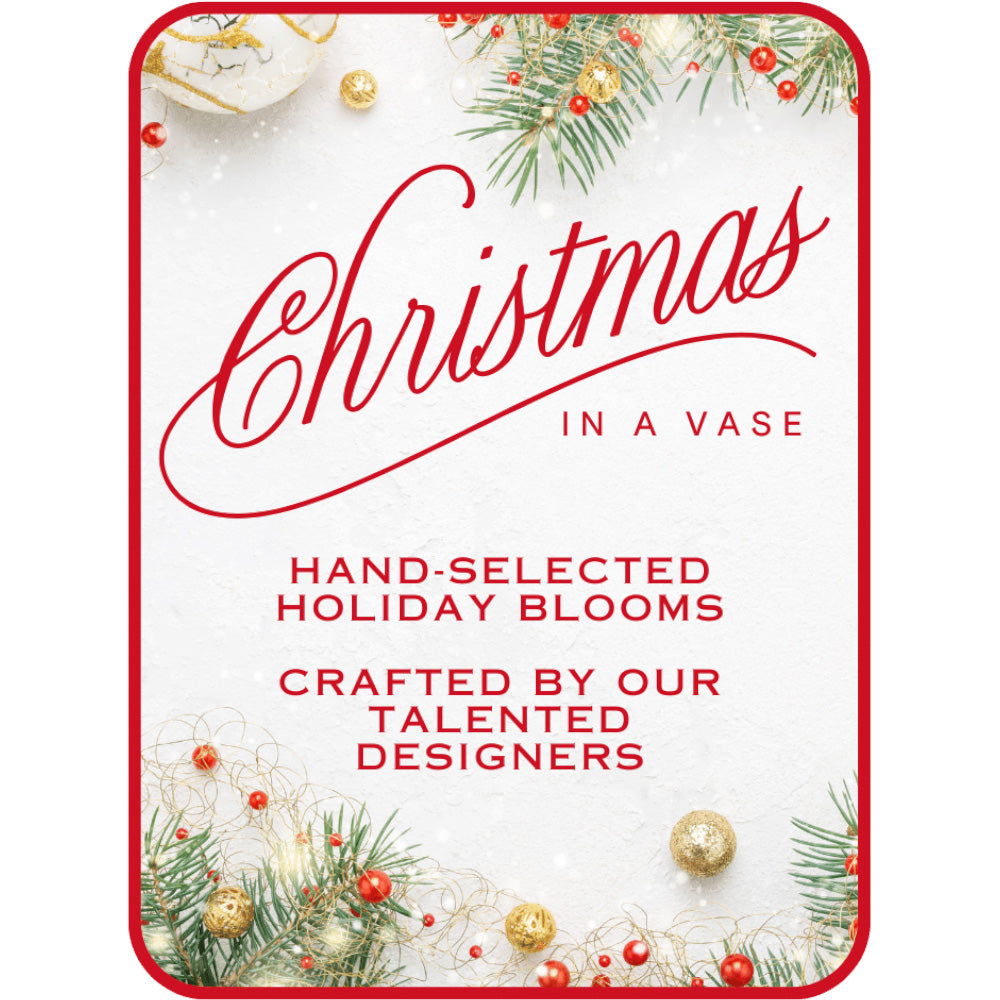 Designer's Choice Christmas in a Vase – PETERSEN & TIETZ FLORISTS & GREENHOUSES, Waterloo IA