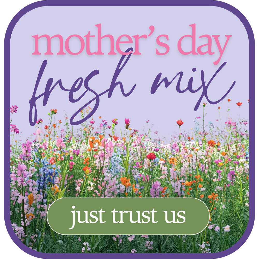 Designer's Choice for Mother's Day – PETERSEN & TIETZ FLORISTS & GREENHOUSES, Waterloo IA