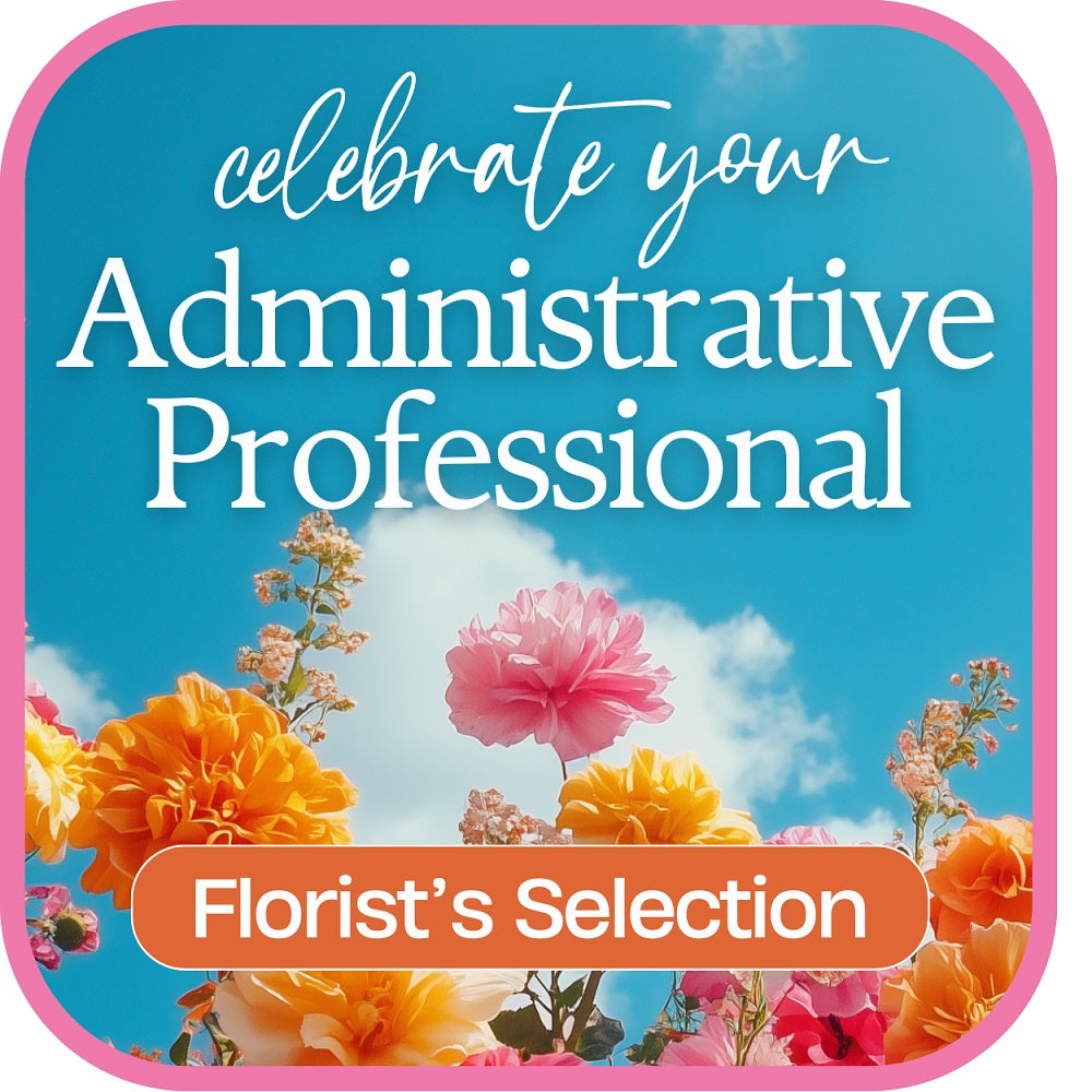 Designer's Choice for Admin Professional's Day – PETERSEN & TIETZ FLORISTS & GREENHOUSES, Waterloo IA
