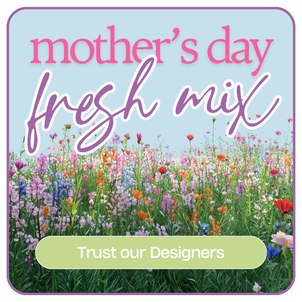 Designer's Choice Mother's Day Arrangement – PETERSEN & TIETZ FLORISTS & GREENHOUSES, Waterloo IA