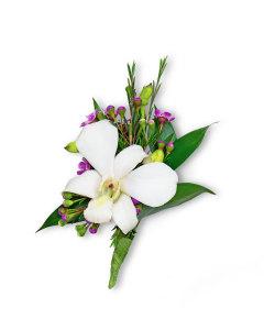 Flawless Boutonniere – PETERSEN & TIETZ FLORISTS & GREENHOUSES, Waterloo IA