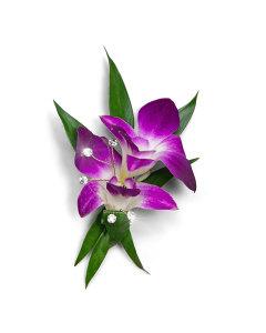 Wanderlust Boutonniere – PETERSEN & TIETZ FLORISTS & GREENHOUSES, Waterloo IA