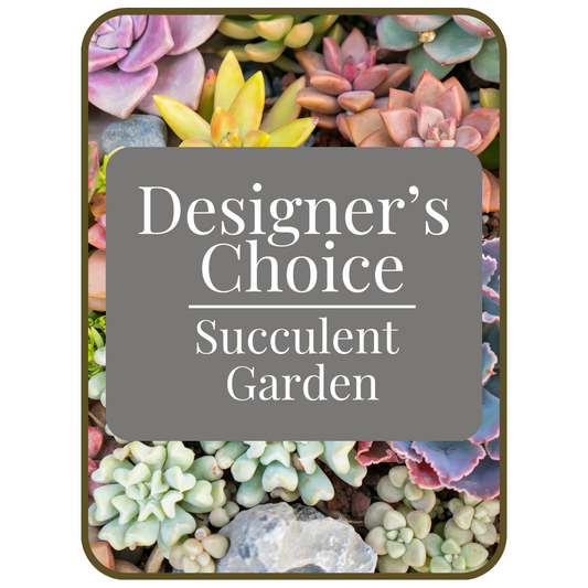 Designer's Choice Succulent Garden