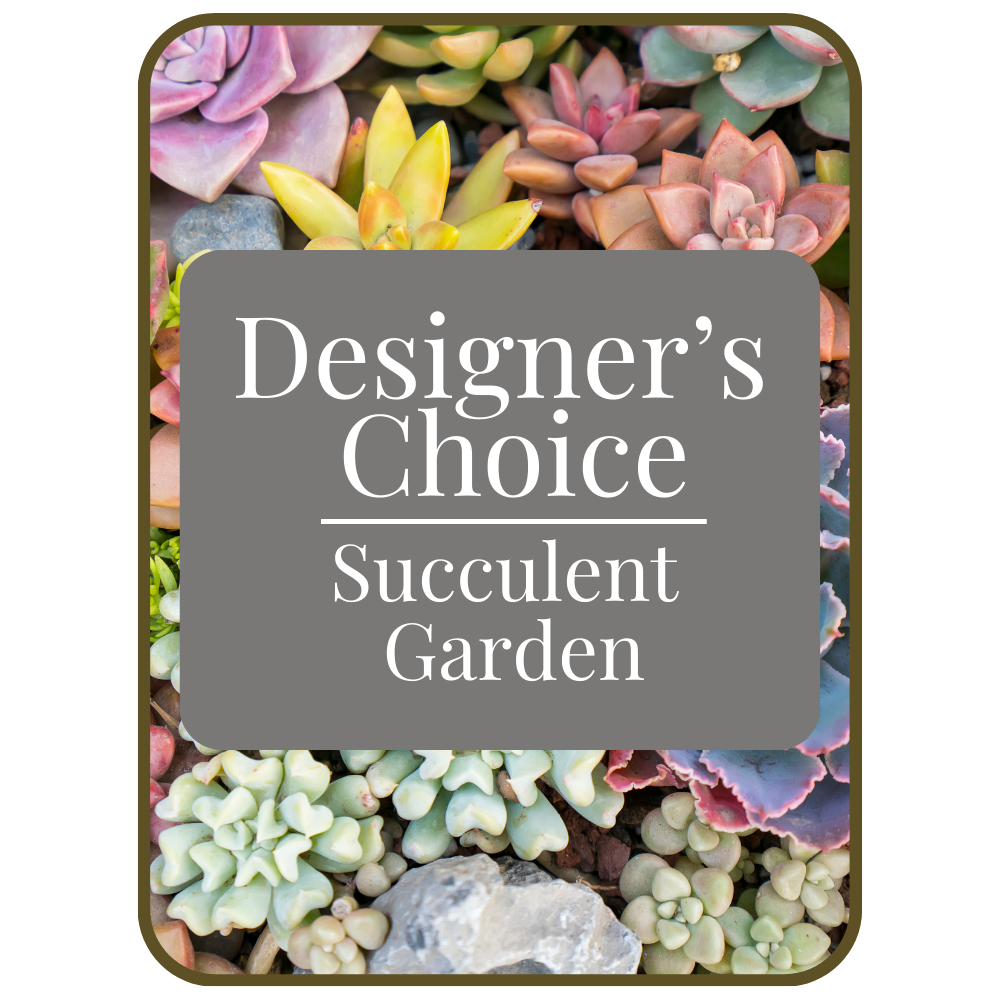 Designer's Choice Succulent Garden – PETERSEN & TIETZ FLORISTS & GREENHOUSES, Waterloo IA