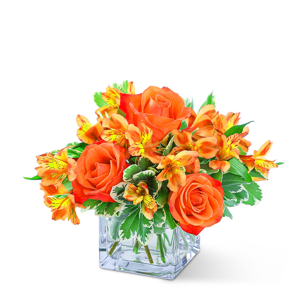 Fresh Tangerine – PETERSEN & TIETZ FLORISTS & GREENHOUSES, Waterloo IA