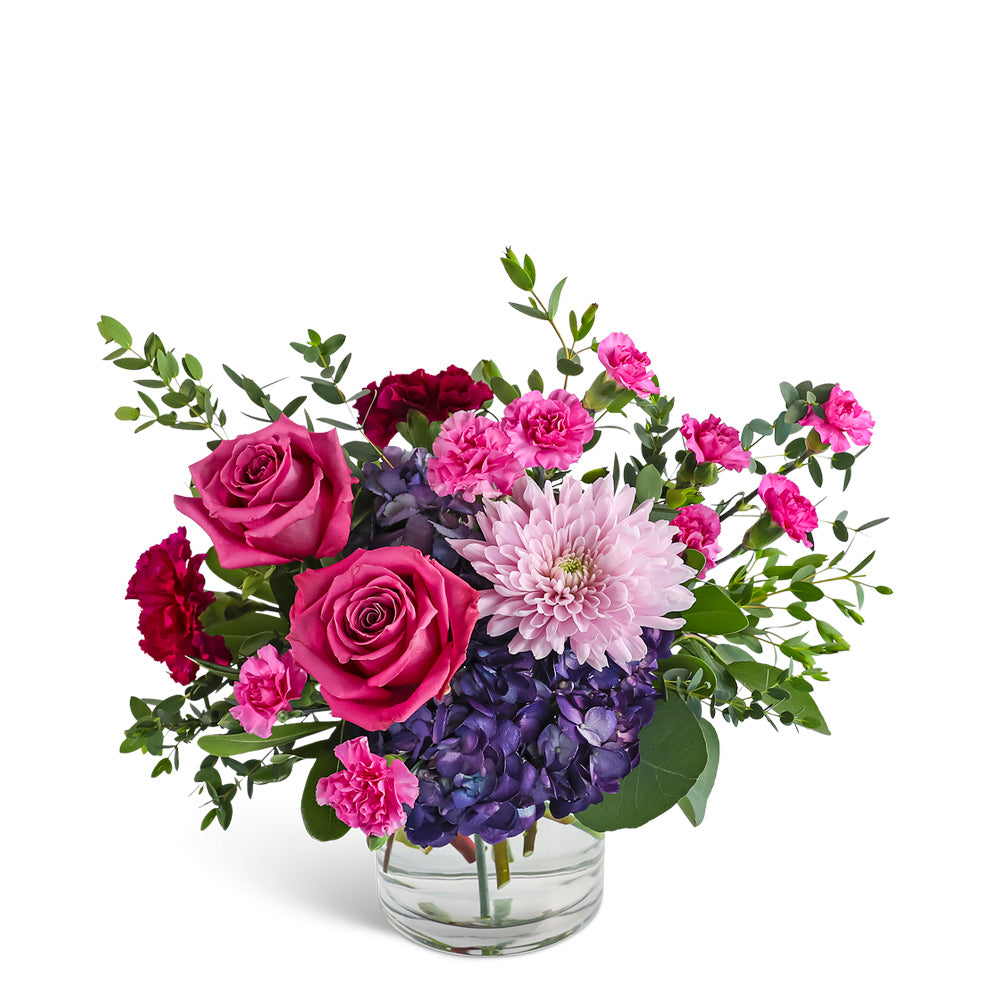 Magenta Muse – PETERSEN & TIETZ FLORISTS & GREENHOUSES, Waterloo IA
