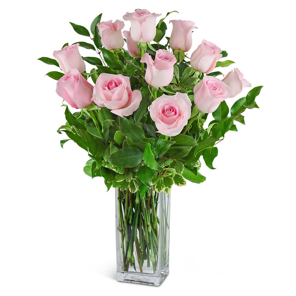 One Dozen Light Pink Roses – PETERSEN & TIETZ FLORISTS & GREENHOUSES, Waterloo IA