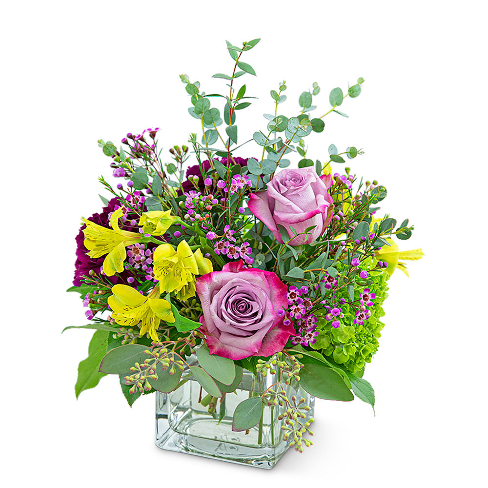 Sugar & Plum – PETERSEN & TIETZ FLORISTS & GREENHOUSES, Waterloo IA