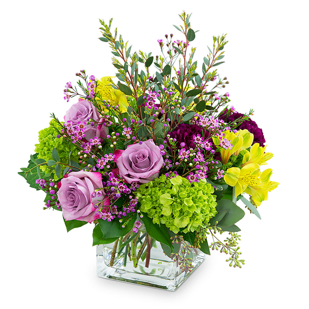 Plum Paradise – PETERSEN & TIETZ FLORISTS & GREENHOUSES, Waterloo IA