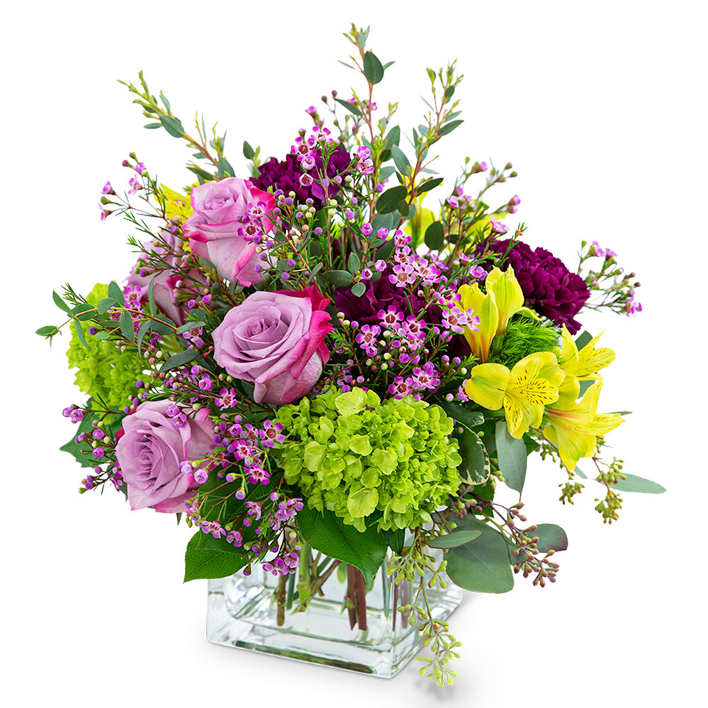Golden Plum – PETERSEN & TIETZ FLORISTS & GREENHOUSES, Waterloo IA