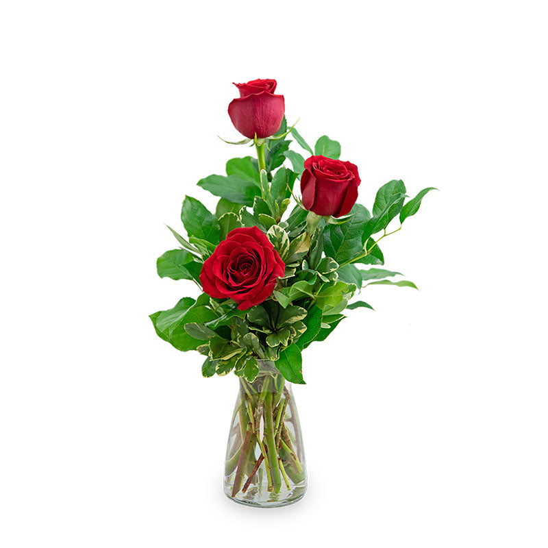 Red Roses (3) – PETERSEN & TIETZ FLORISTS & GREENHOUSES, Waterloo IA