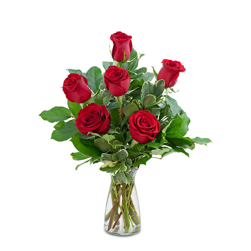 Red Roses (6) – PETERSEN & TIETZ FLORISTS & GREENHOUSES, Waterloo IA