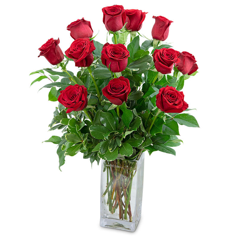 Classic Dozen Red Roses – PETERSEN & TIETZ FLORISTS & GREENHOUSES, Waterloo IA