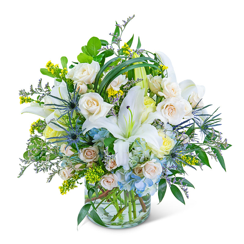 Bossa Nova Blues – PETERSEN & TIETZ FLORISTS & GREENHOUSES, Waterloo IA