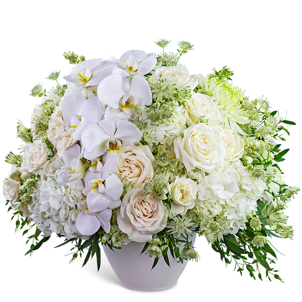 Orchid Couture – PETERSEN & TIETZ FLORISTS & GREENHOUSES, Waterloo IA