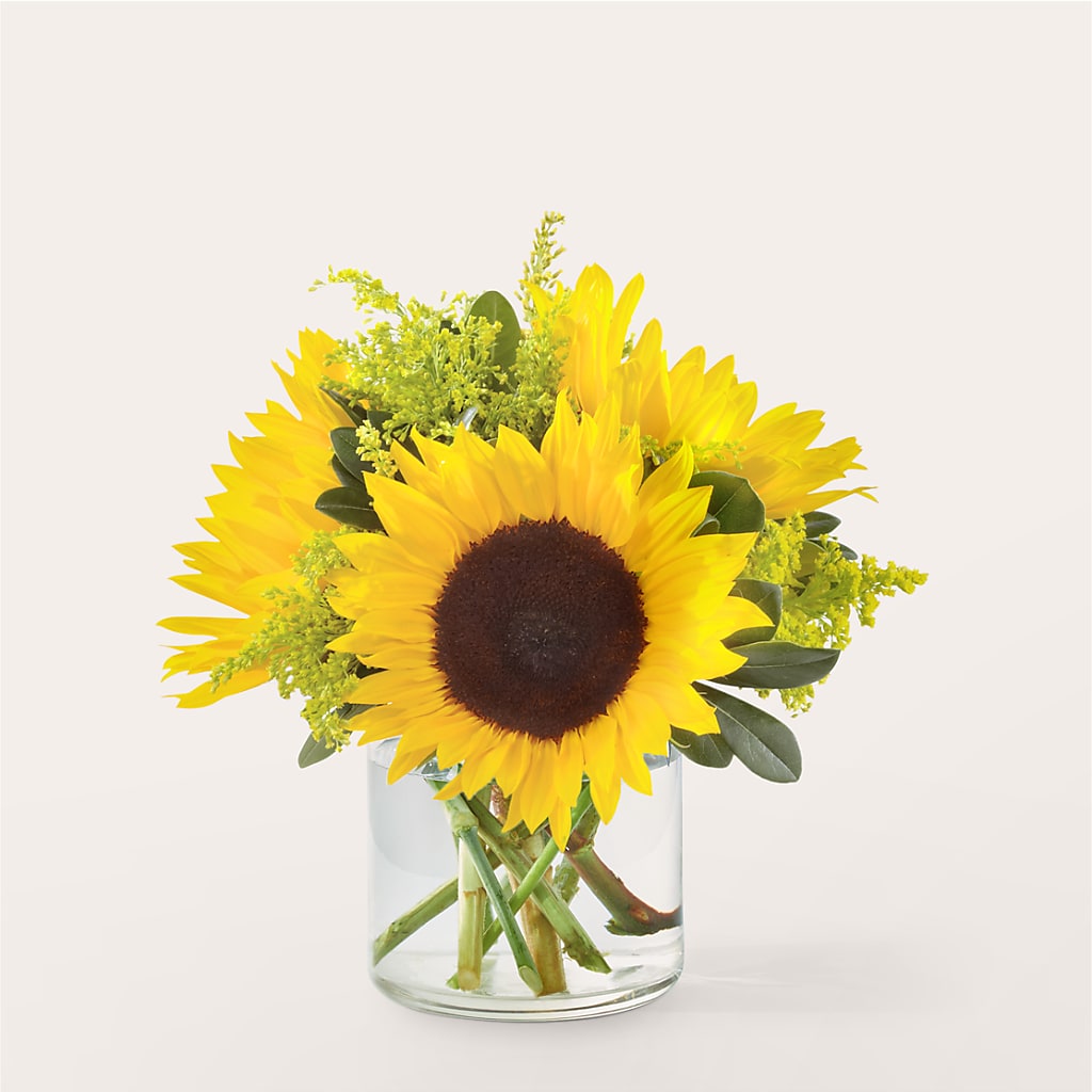 Beaming Sunflower Bouquet – PETERSEN & TIETZ FLORISTS & GREENHOUSES, Waterloo IA