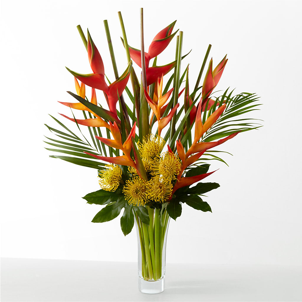 The Drama – PETERSEN & TIETZ FLORISTS & GREENHOUSES, Waterloo IA
