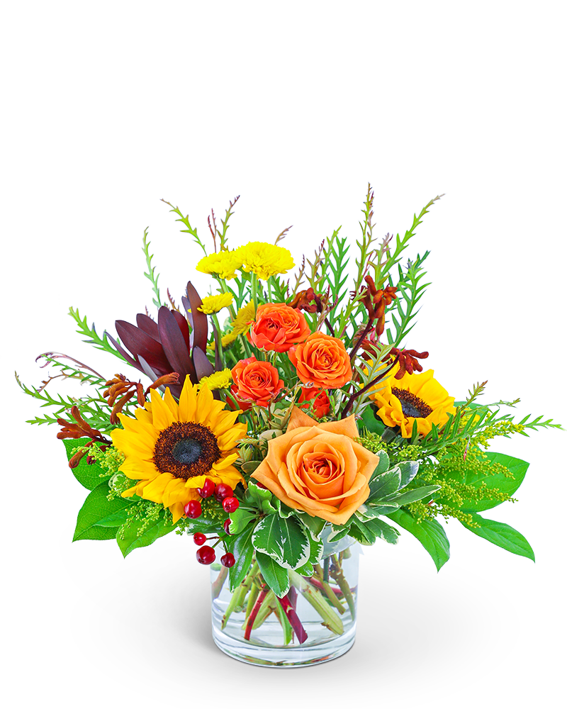 Finding the Right Blooms: A Practical Guide to Choosing Flowers for Men