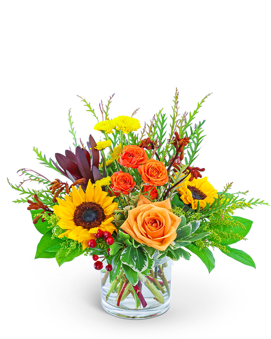 Finding the Right Blooms: A Practical Guide to Choosing Flowers for Men
