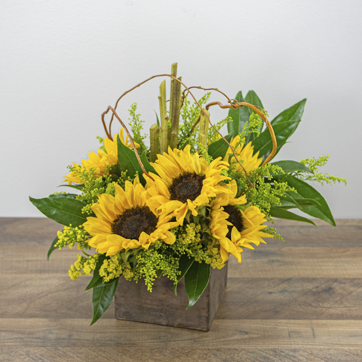 Beyond Roses: Discover the Perfect Alternative Flowers for Every Taste