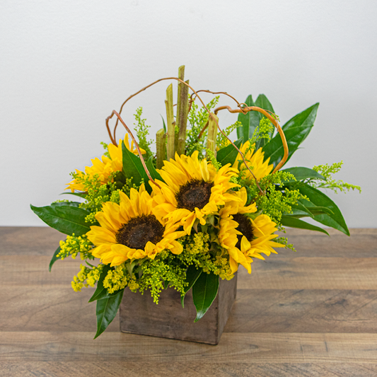 Beyond Roses: Discover the Perfect Alternative Flowers for Every Taste
