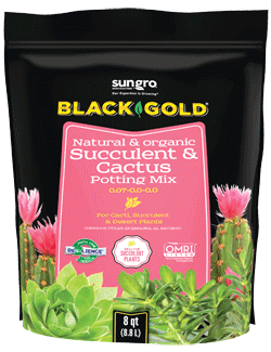 Black Gold Cactus Soil