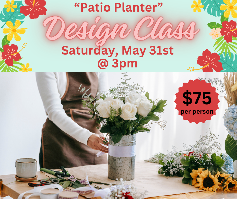 Patio Pot Planting Class 5/31/25