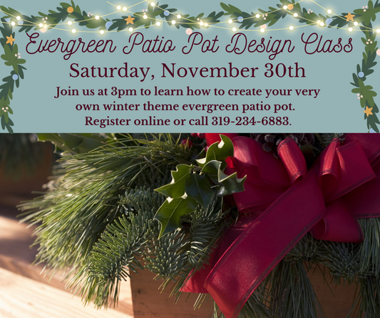 Evergreen Patio Pot Design Class 11/30/24