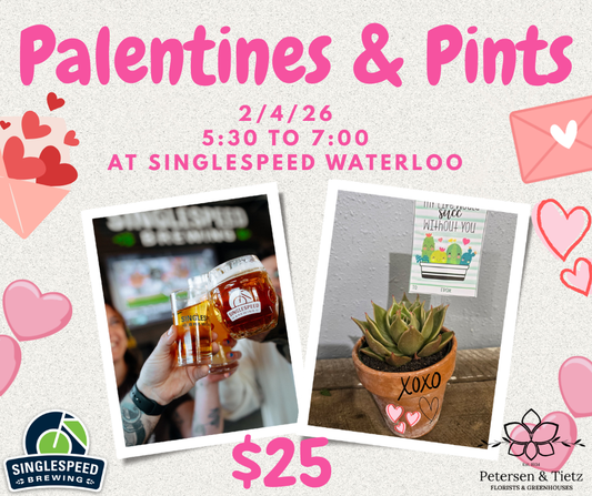 Palentines & Pints