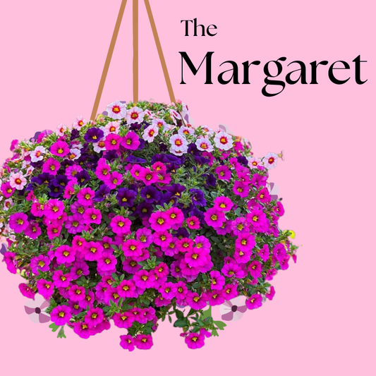 The Margaret Hanging Basket