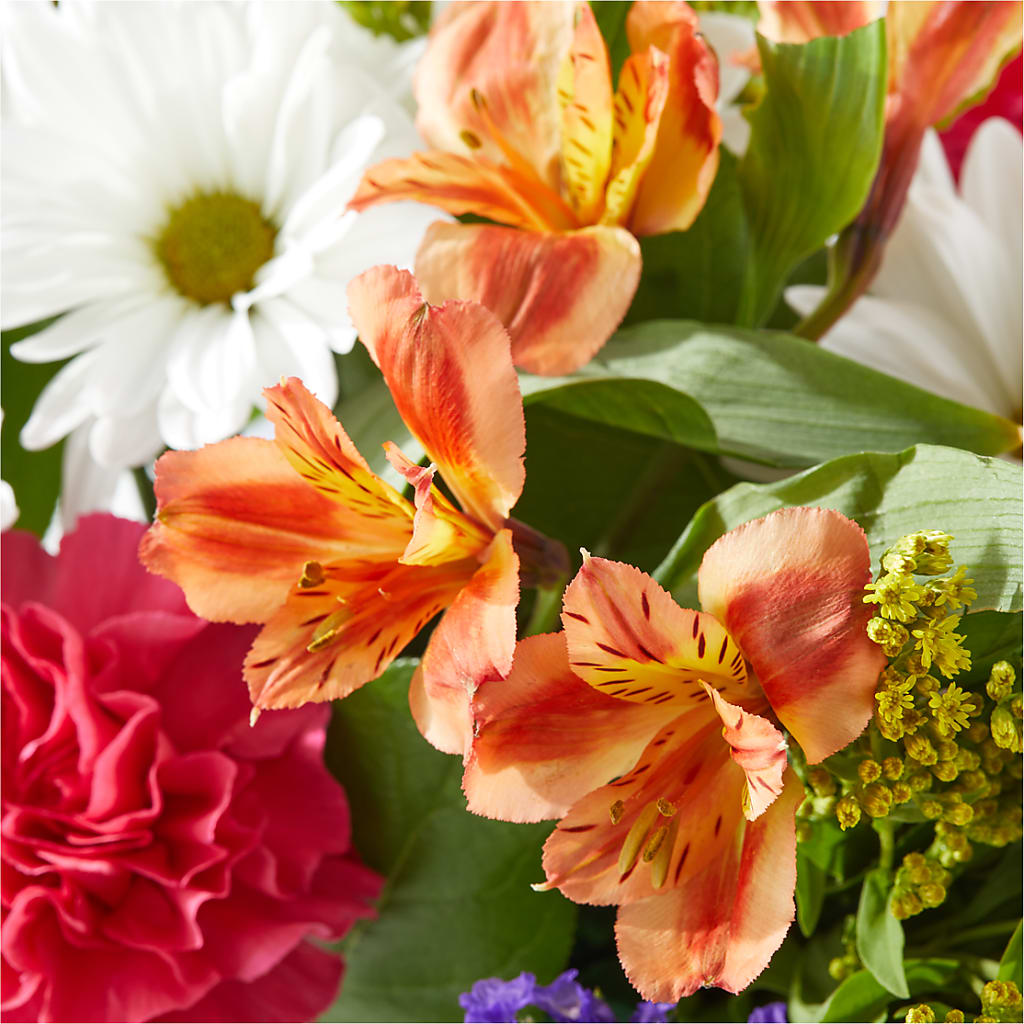 Oopsie Daisy Box Bouquet – PETERSEN & TIETZ FLORISTS & GREENHOUSES, Waterloo IA