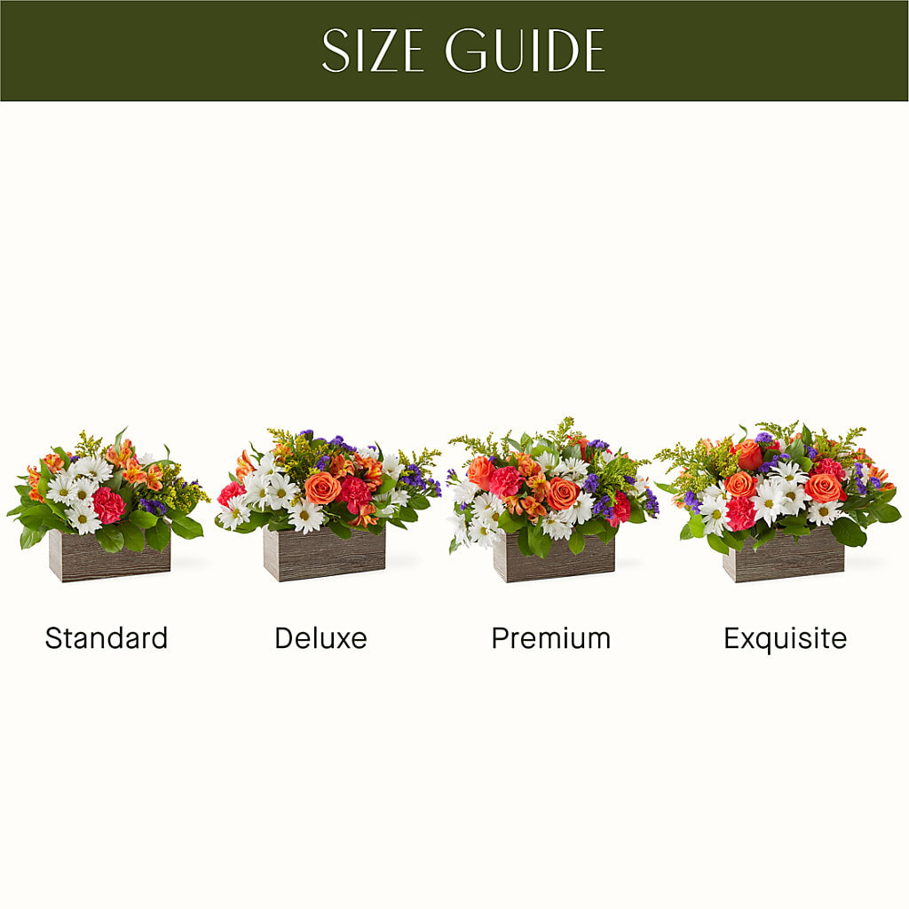 Oopsie Daisy Box Bouquet – PETERSEN & TIETZ FLORISTS & GREENHOUSES, Waterloo IA