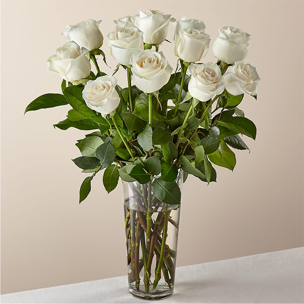 Long Stem White Rose Bouquet – PETERSEN & TIETZ FLORISTS & GREENHOUSES, Waterloo IA