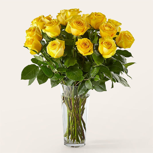 Long Stem Yellow Rose Bouquet – PETERSEN & TIETZ FLORISTS & GREENHOUSES, Waterloo IA