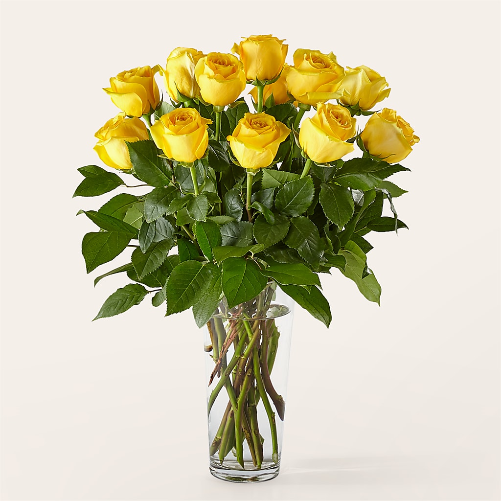 Long Stem Yellow Rose Bouquet – PETERSEN & TIETZ FLORISTS & GREENHOUSES, Waterloo IA
