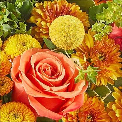 Gourdgeous Pumpkin – PETERSEN & TIETZ FLORISTS & GREENHOUSES, Waterloo IA