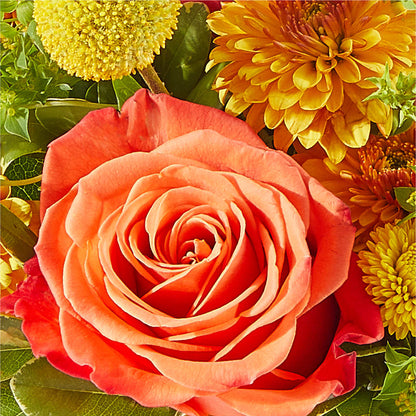 Gourdgeous Pumpkin – PETERSEN & TIETZ FLORISTS & GREENHOUSES, Waterloo IA